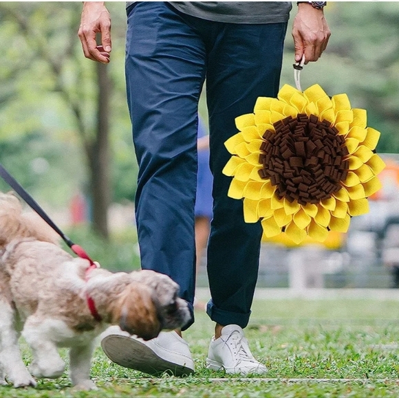 Sniffing Pet Mat - Picture 4 of 5